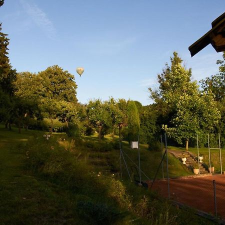 Chateau Radvanov Pension Mlada Vozice Zewnętrze zdjęcie